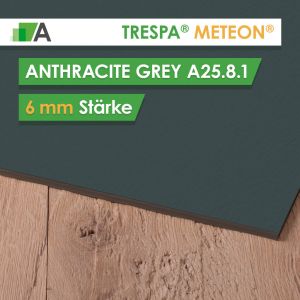 TRESPA® METEON® Anthracite Grey - A25.8.1 - Stärke 6mm - 2550 x 1860